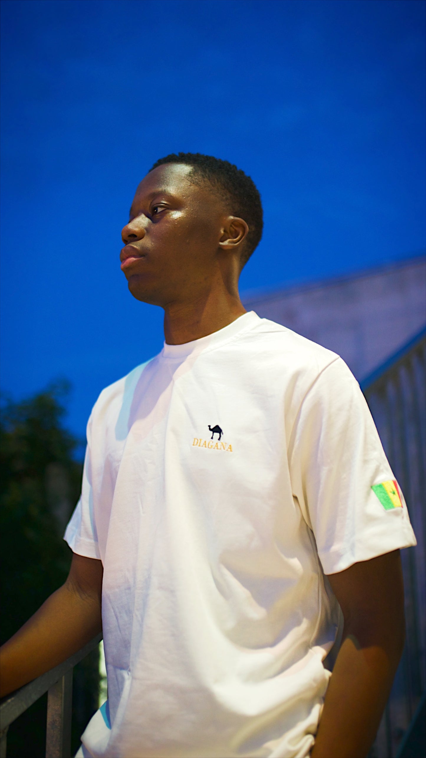 King of the Teranga (Blanc) - Personnalisable