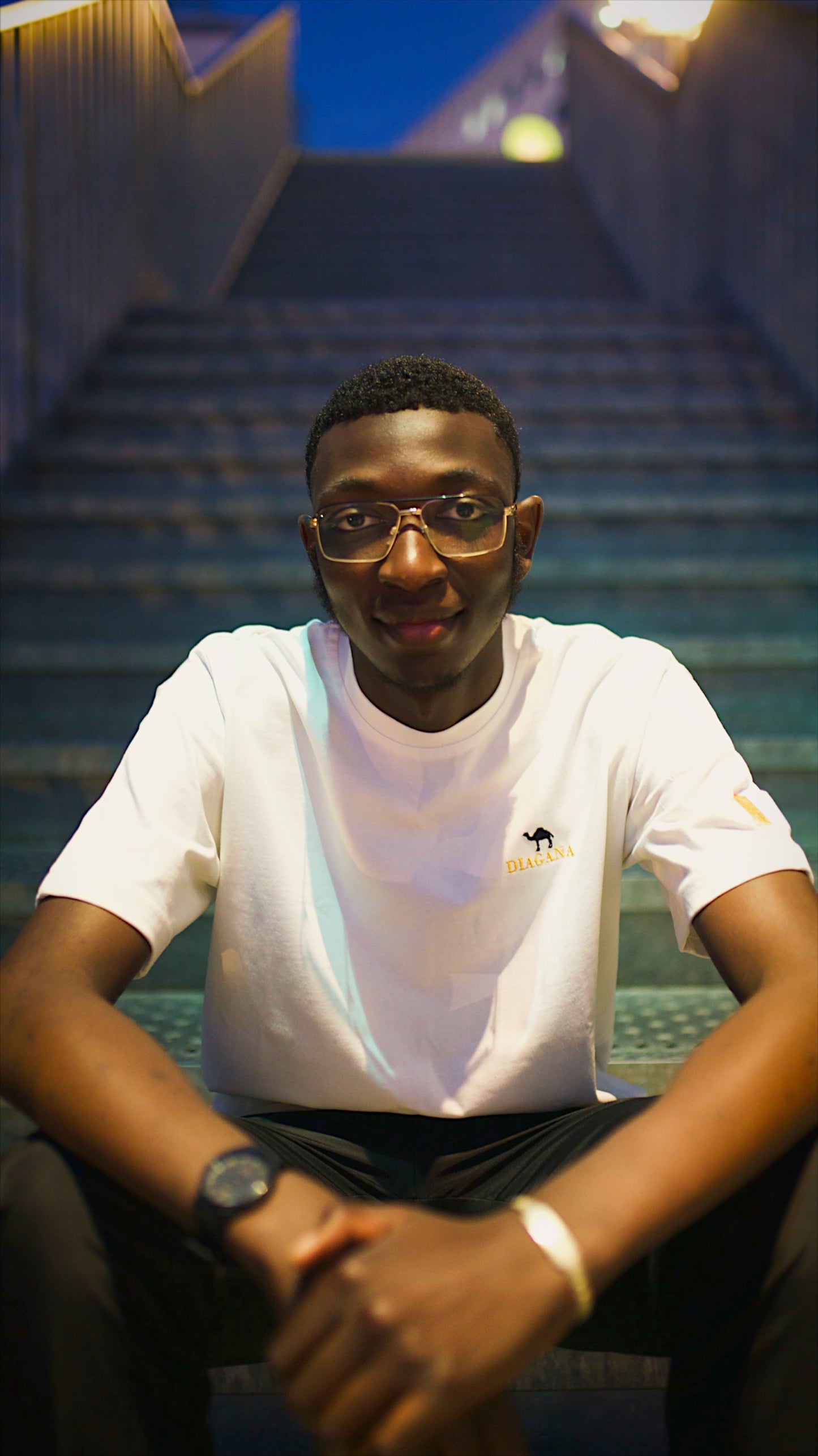 Elephant of the Ivory Coast - Blanc