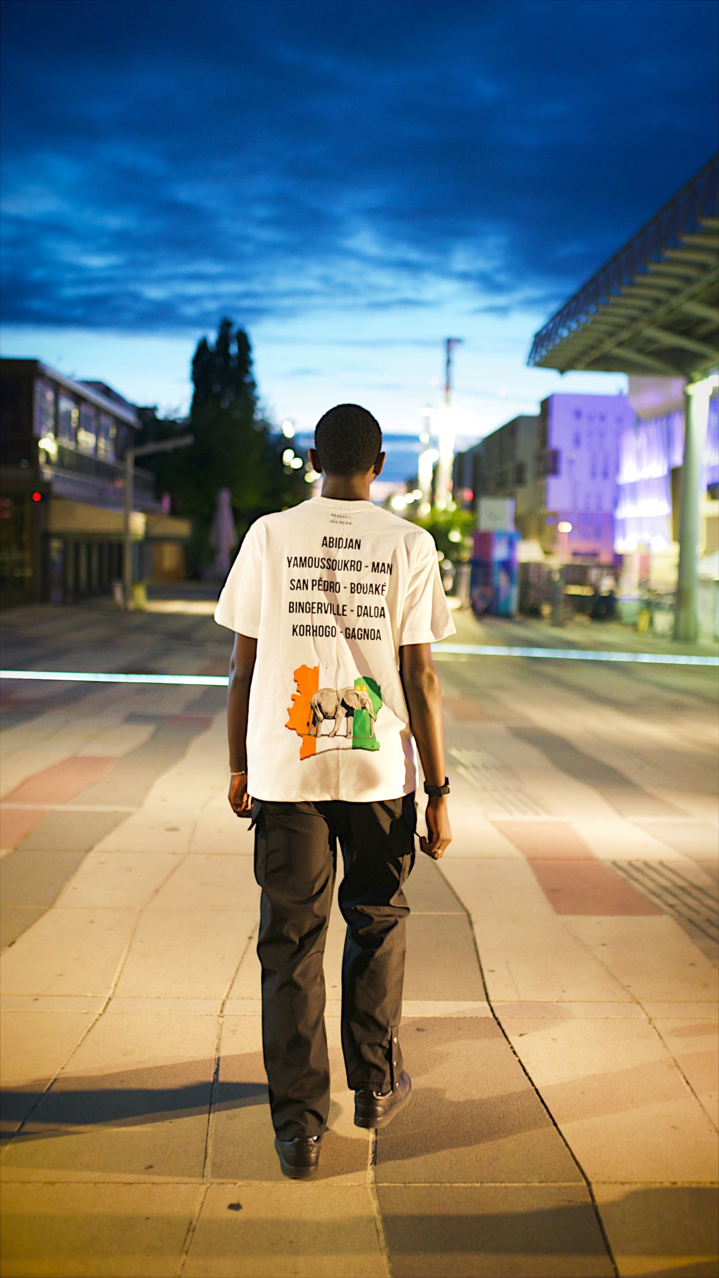 Elephant of the Ivory Coast - Blanc